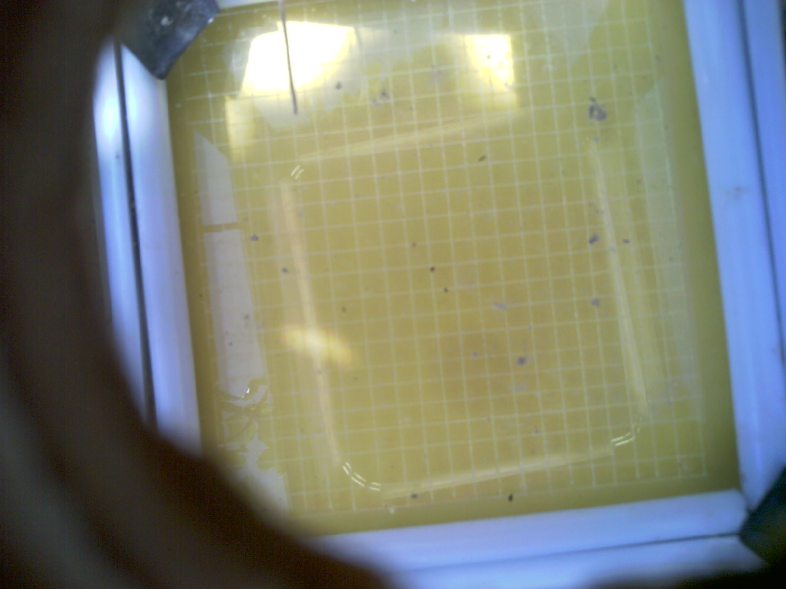 20260709_120934_UXGA_Q3.jpg