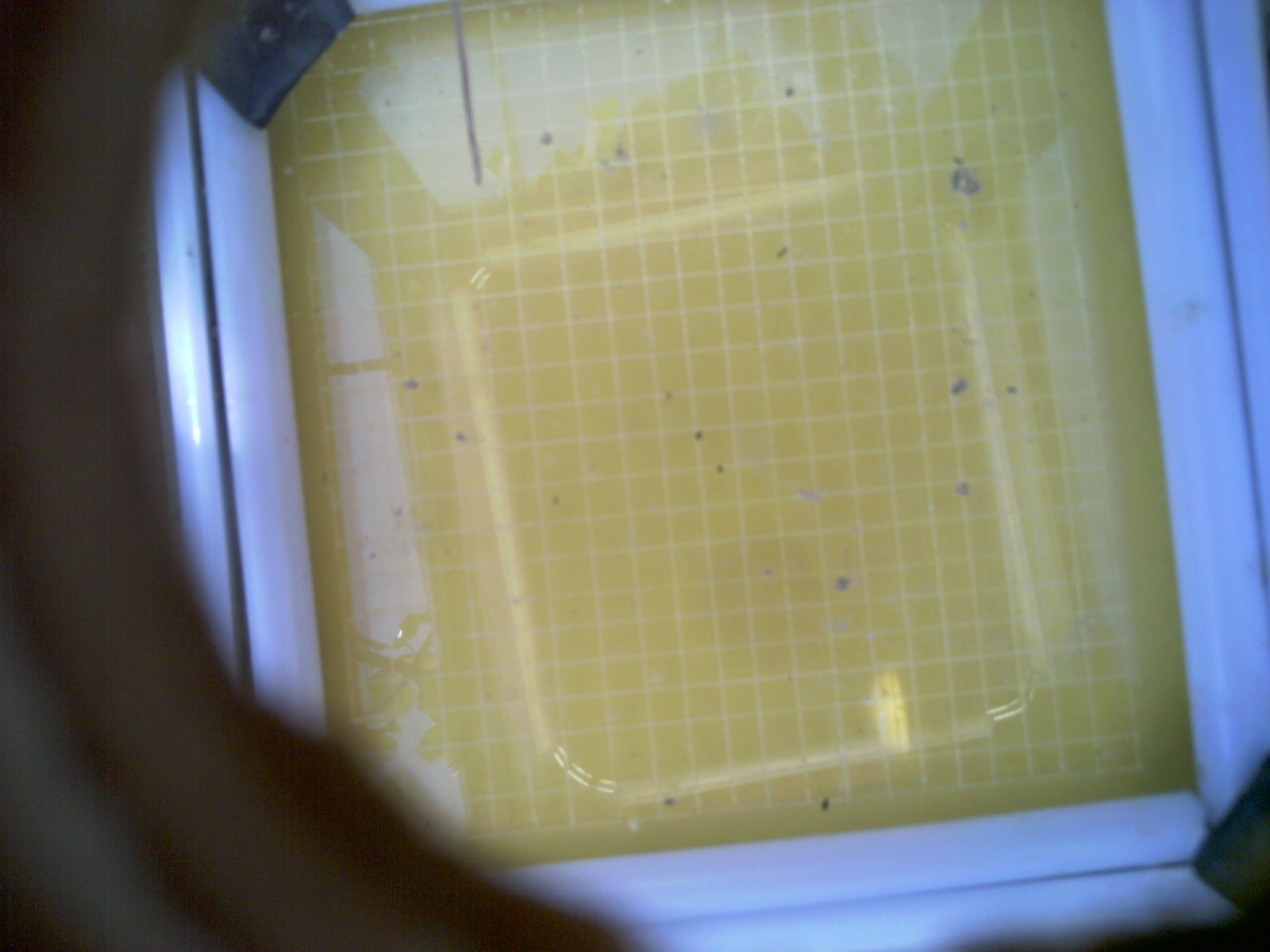 20260709_121548_UXGA_Q3.jpg