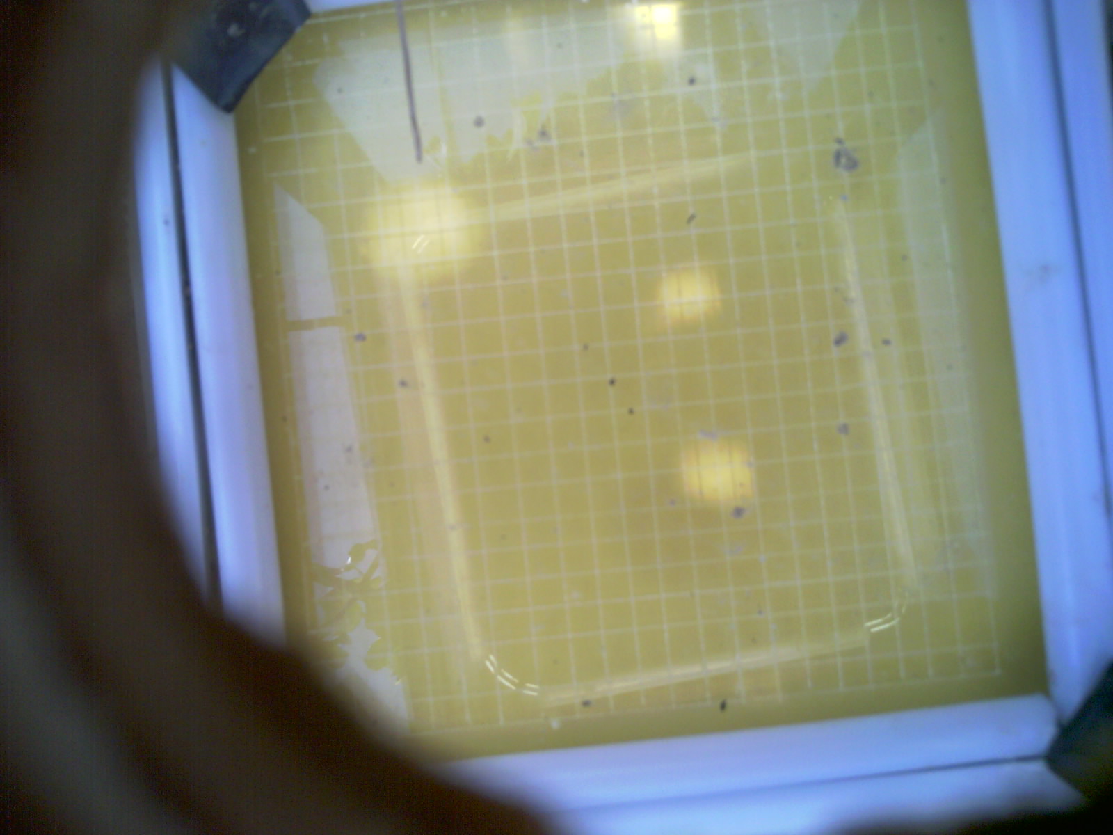 20260709_122222_UXGA_Q3.jpg