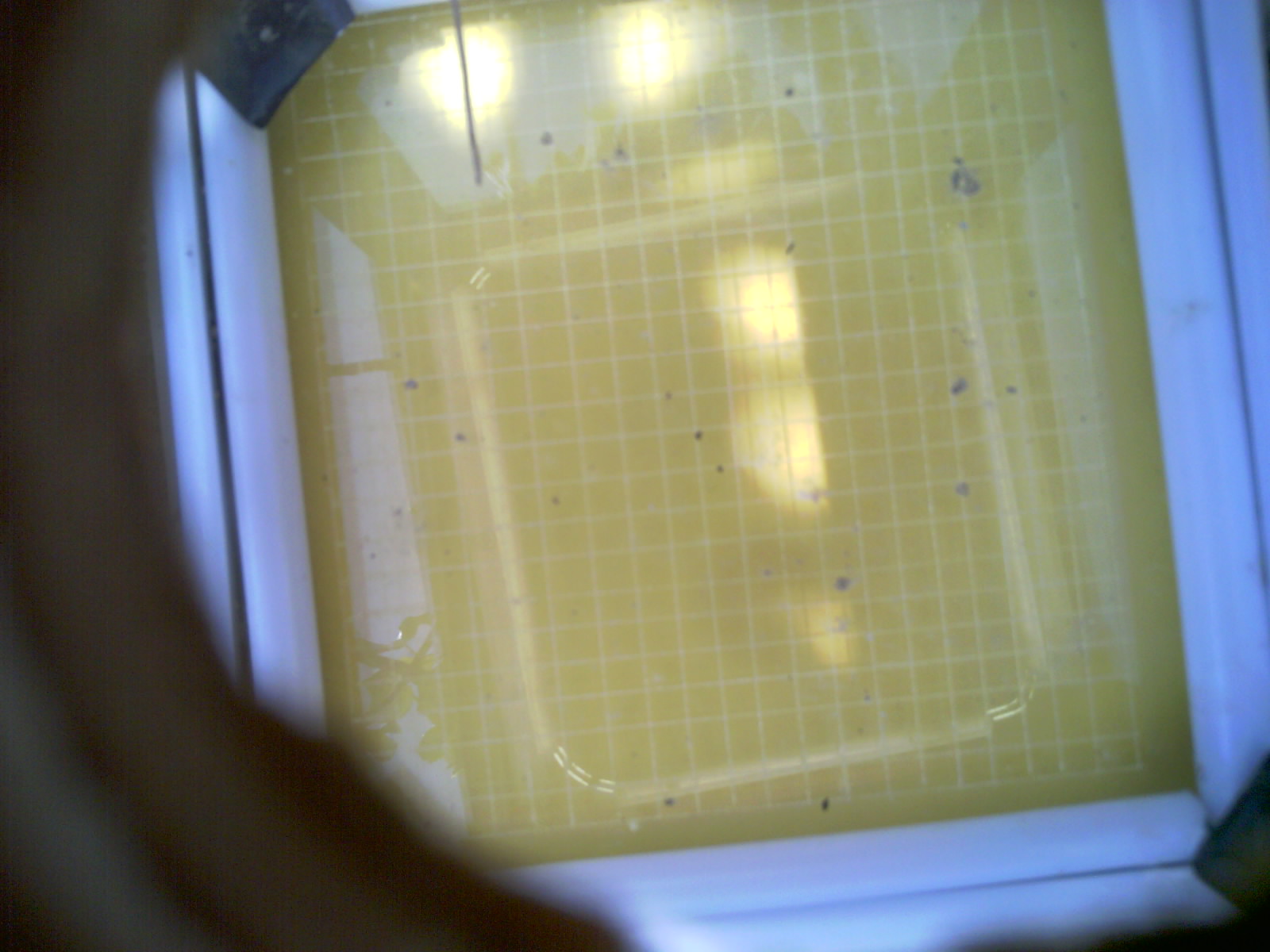 20260709_122849_UXGA_Q3.jpg