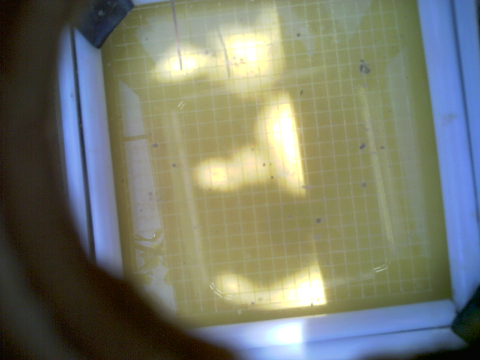 20260709_123538_UXGA_Q3.jpg