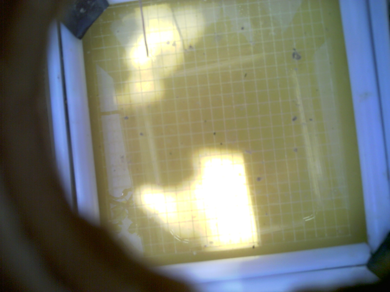 20260709_124351_UXGA_Q3.jpg