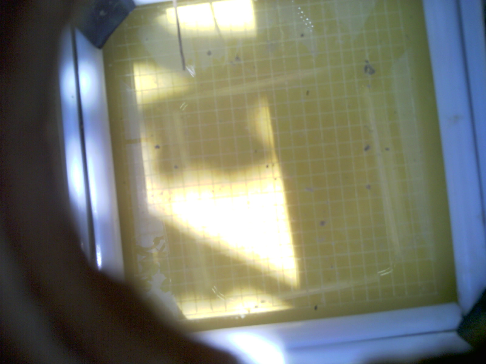20260709_125919_UXGA_Q3.jpg