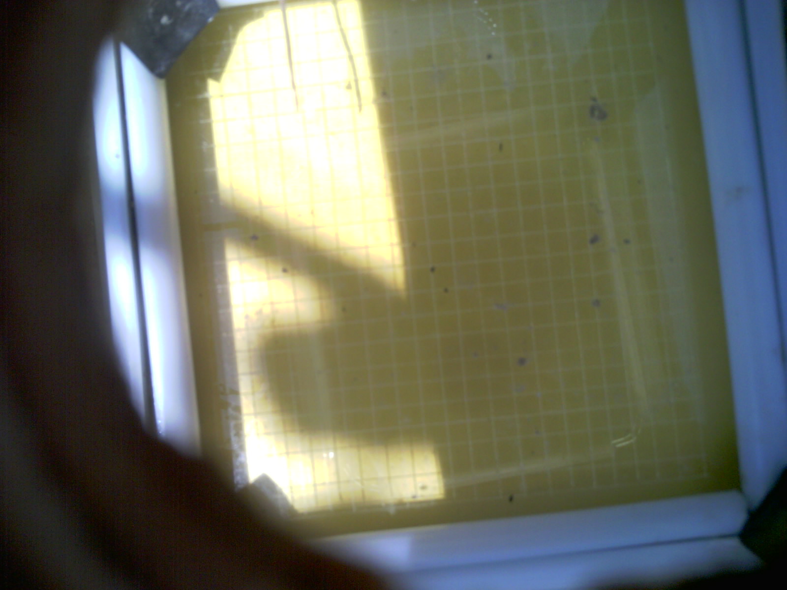 20260709_132335_UXGA_Q3.jpg