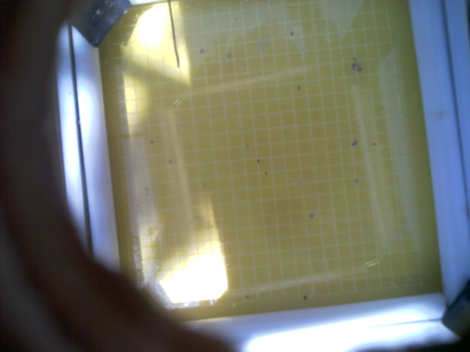20260709_135534_UXGA_Q3.jpg