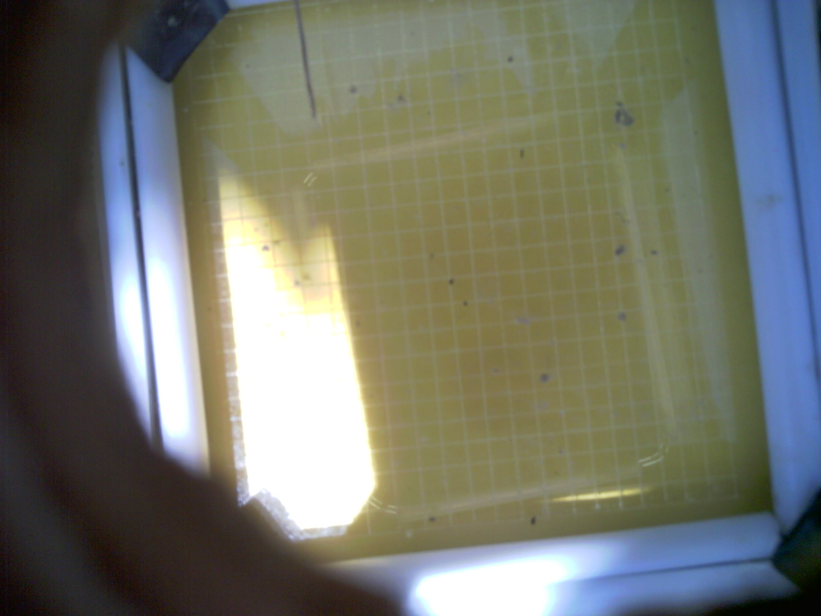 20260709_140347_UXGA_Q3.jpg