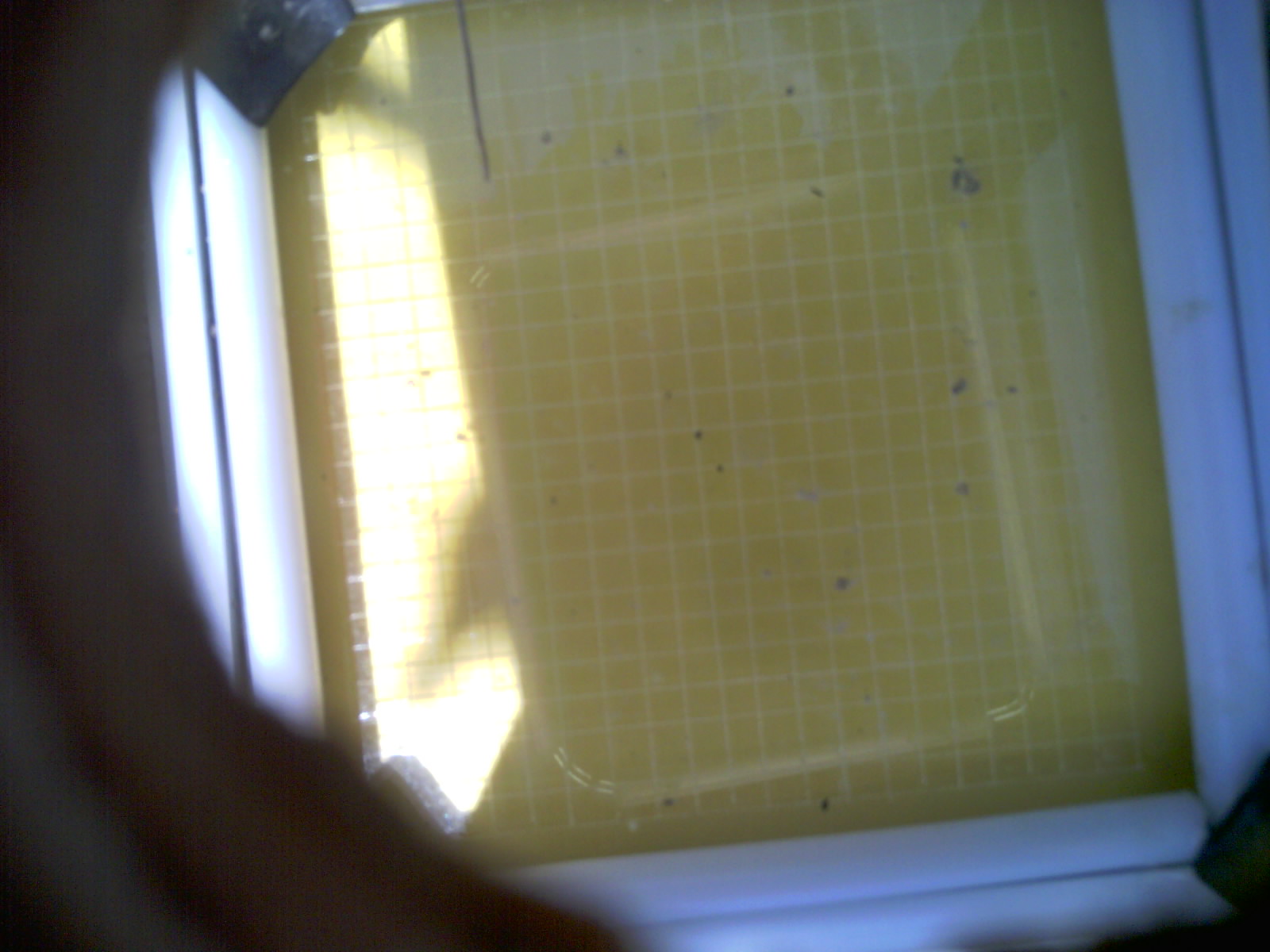 20260709_141833_UXGA_Q3.jpg