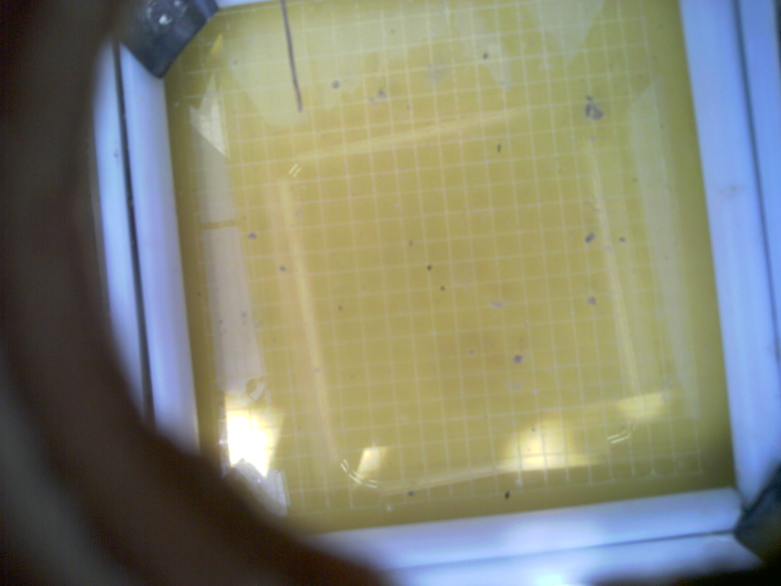 20260709_143345_UXGA_Q3.jpg