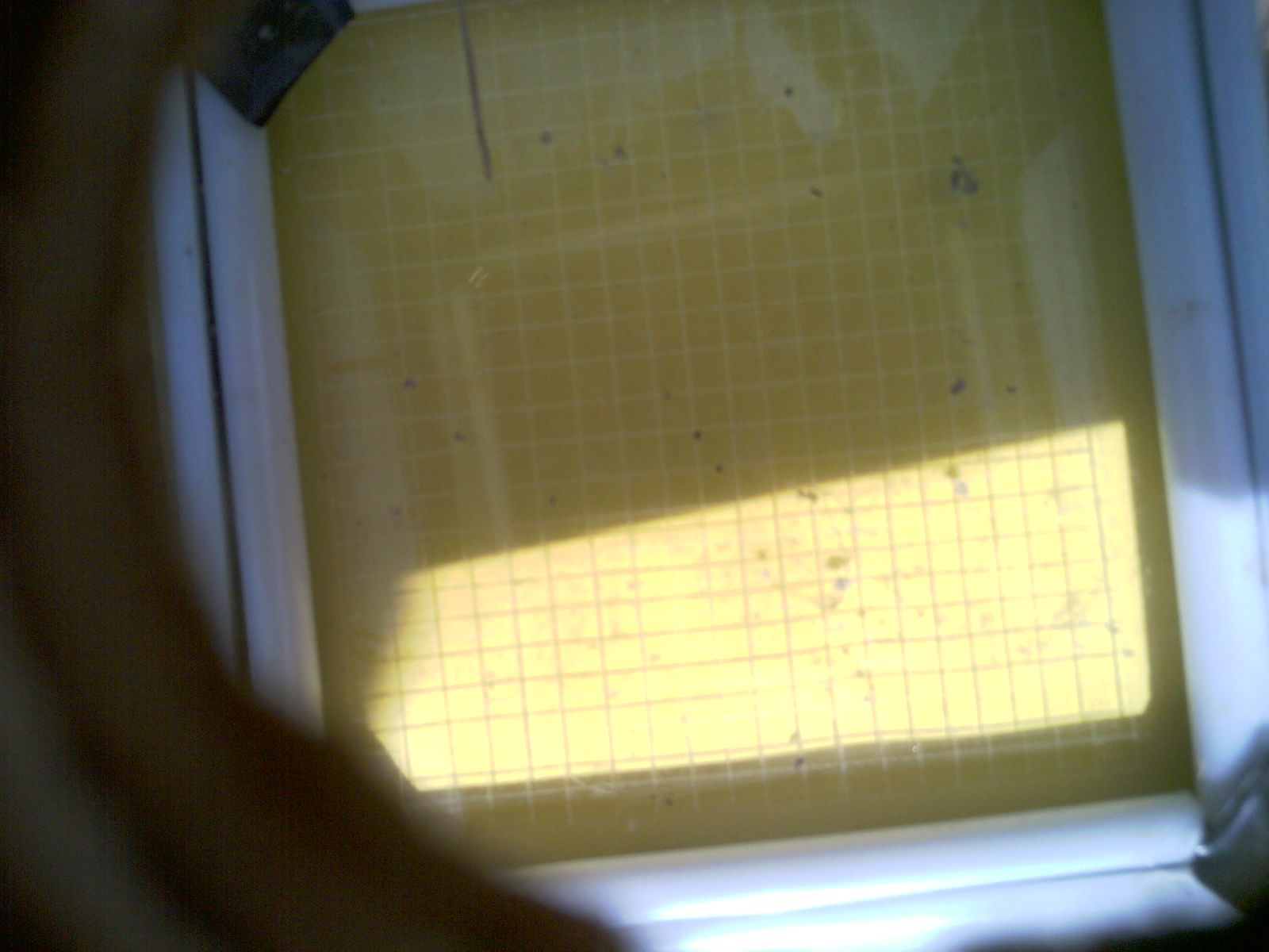 20260709_154004_UXGA_Q3.jpg