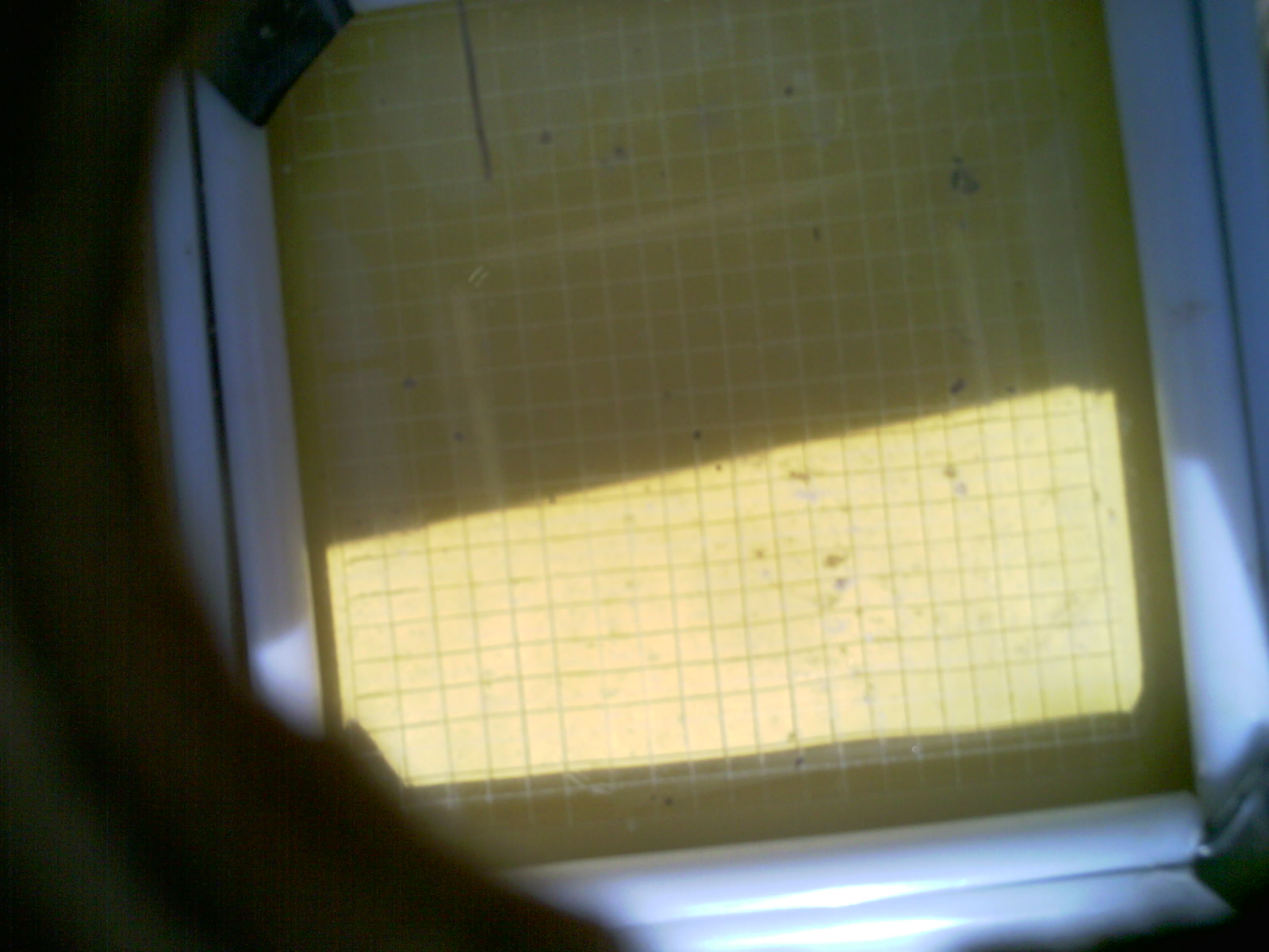 20260709_155522_UXGA_Q3.jpg