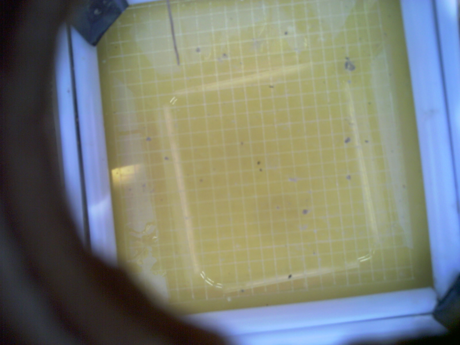 20260709_162420_UXGA_Q3.jpg