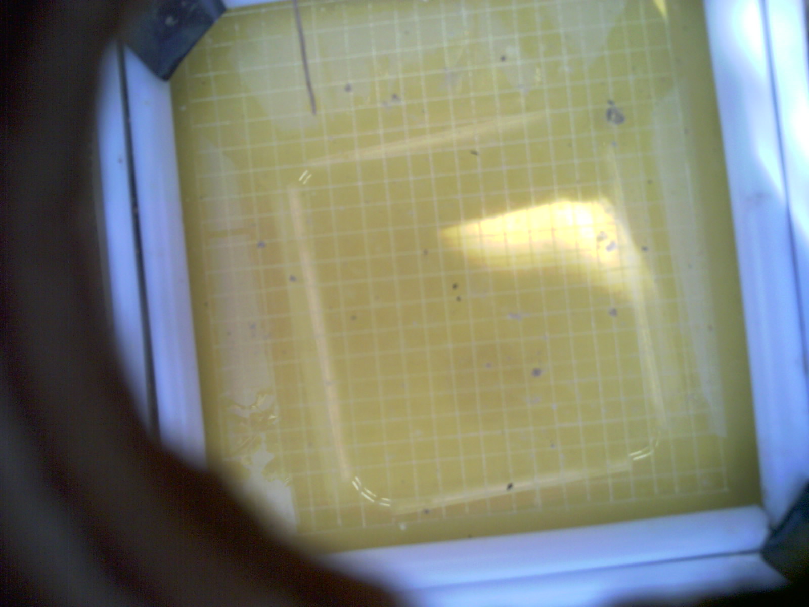 20260709_163048_UXGA_Q3.jpg