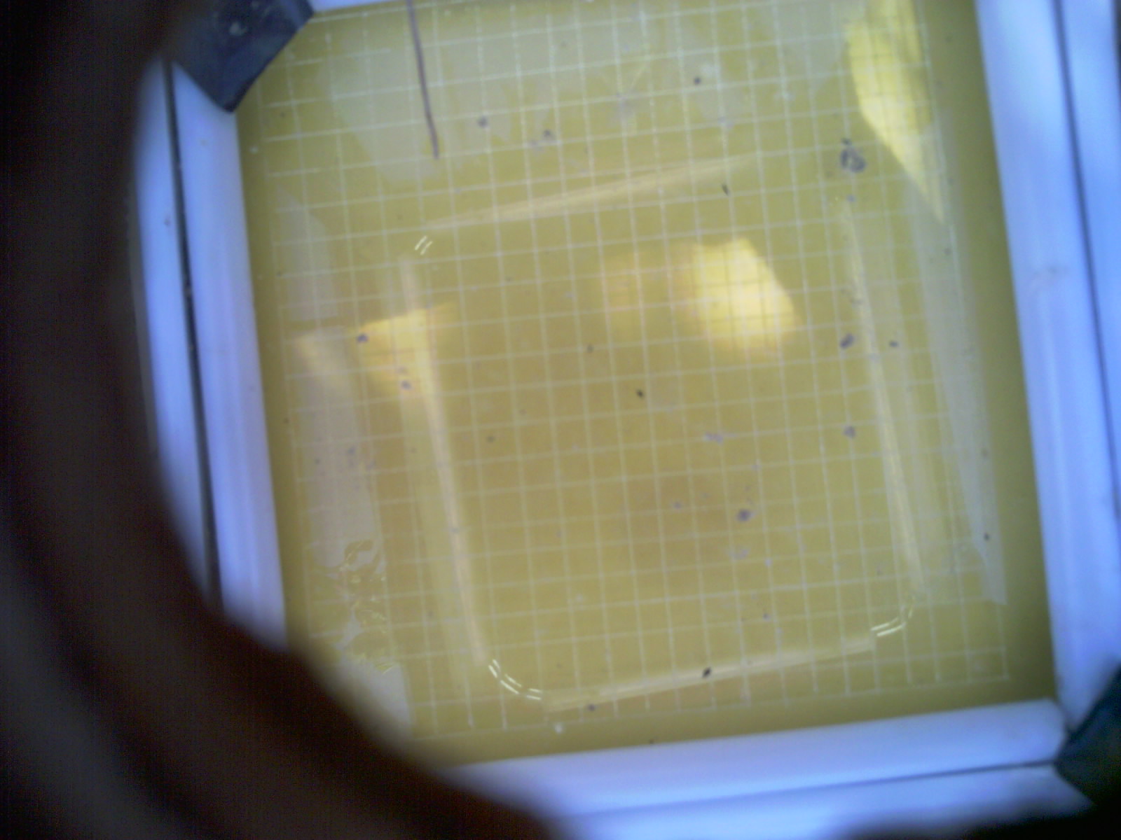 20260709_165050_UXGA_Q3.jpg