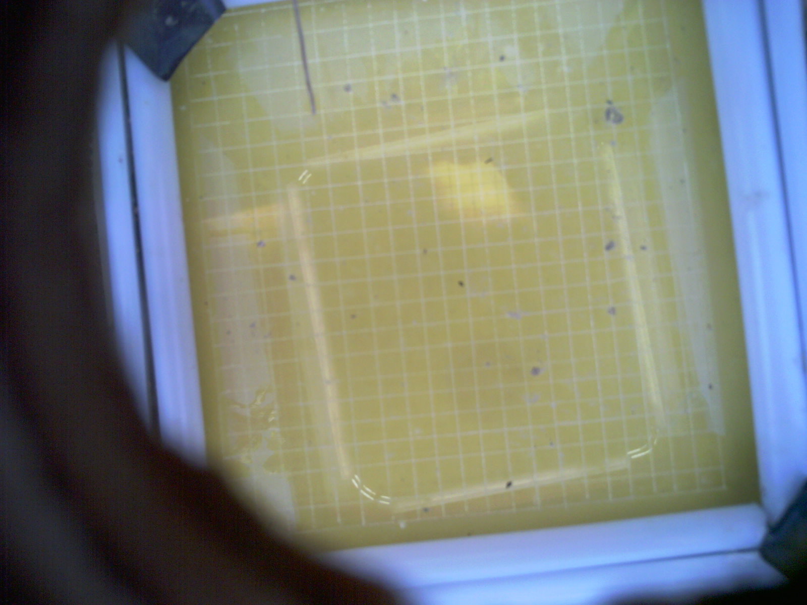 20260709_170357_UXGA_Q3.jpg