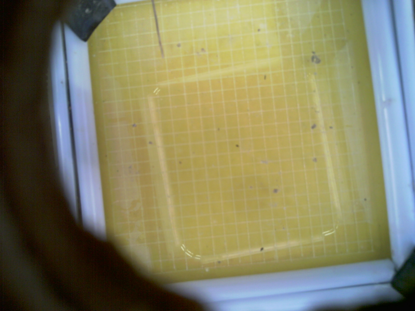 20260709_193903_UXGA_Q3.jpg