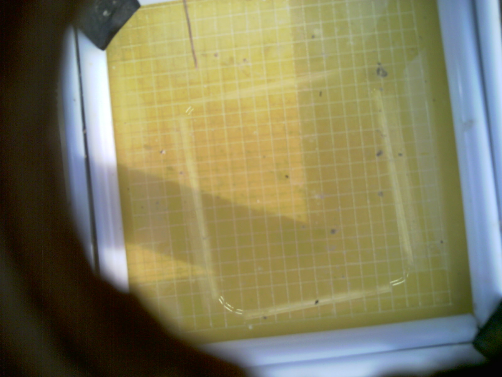 20260709_201451_UXGA_Q3.jpg