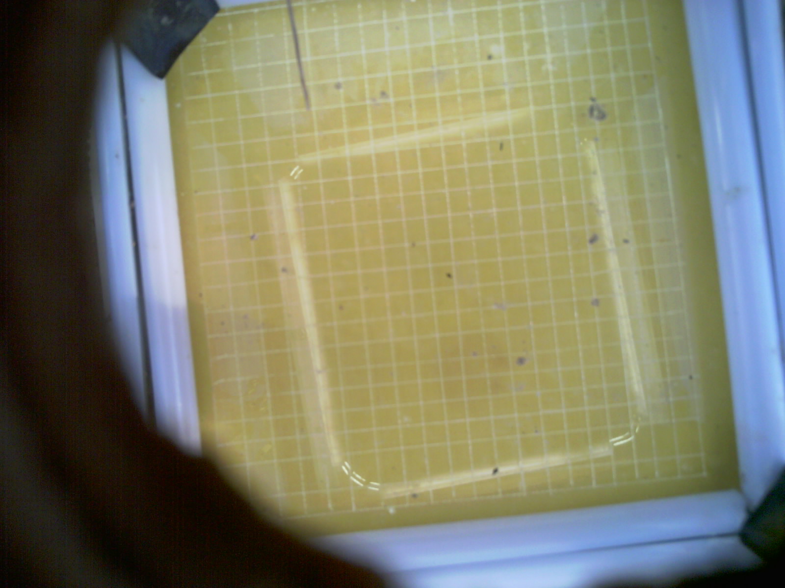 20260709_203412_UXGA_Q3.jpg