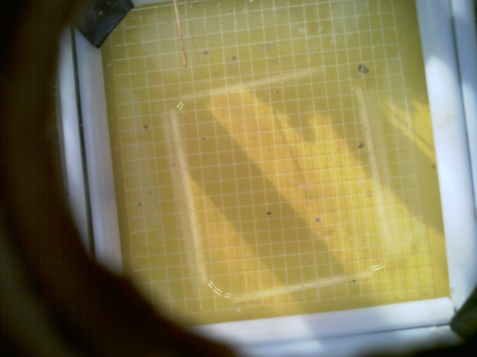20260710_082422_UXGA_Q3.jpg