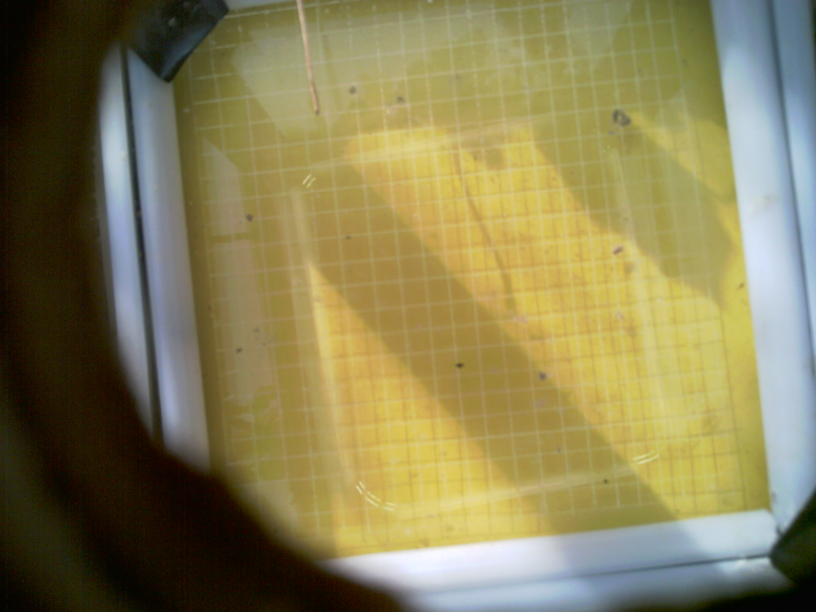 20260710_083807_UXGA_Q3.jpg