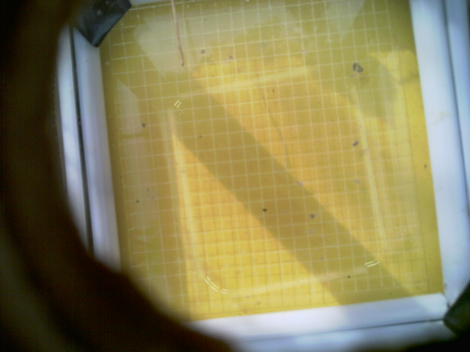 20260710_085455_UXGA_Q3.jpg