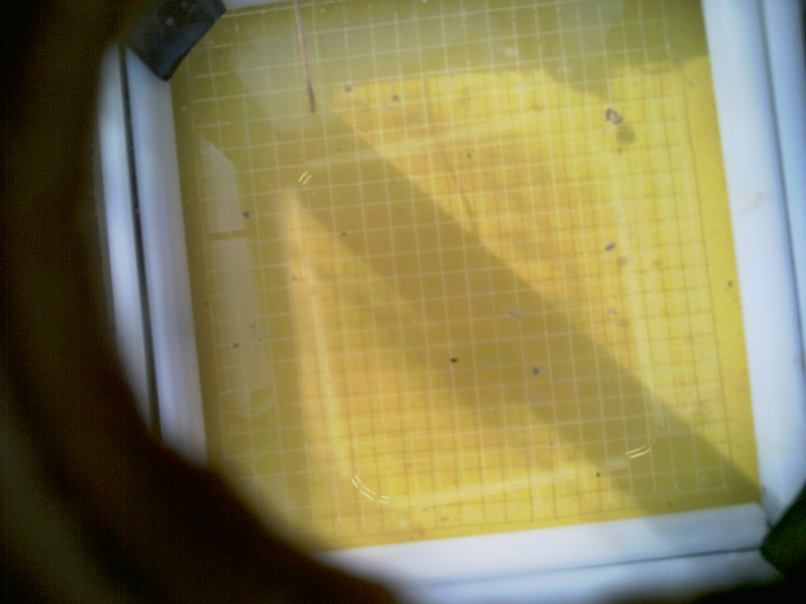 20260710_091343_UXGA_Q3.jpg