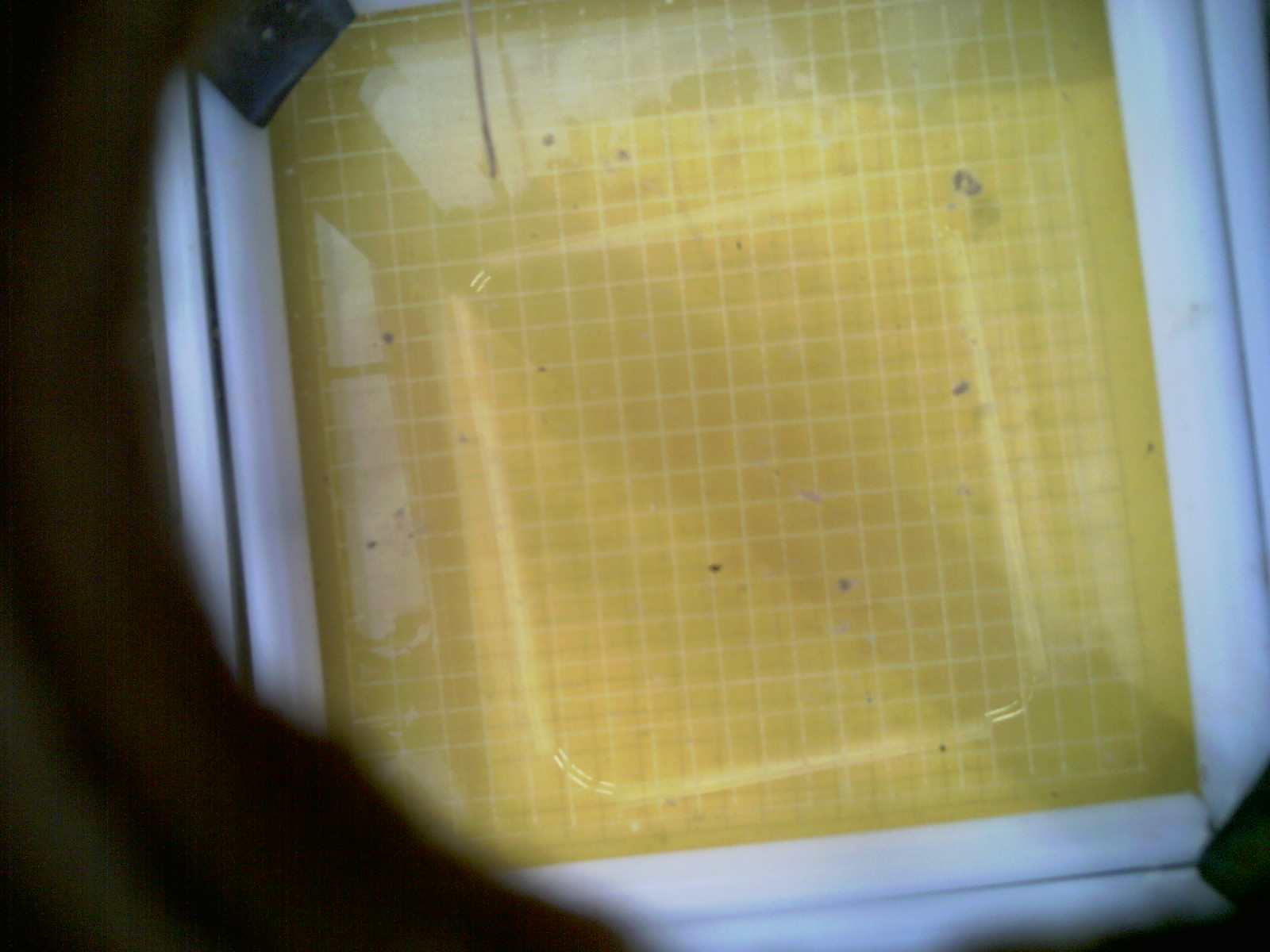 20260710_091944_UXGA_Q3.jpg