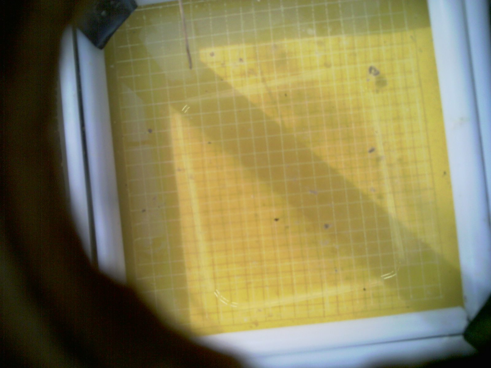 20260710_092549_UXGA_Q3.jpg