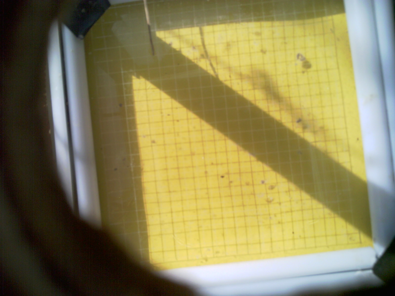 20260710_095059_UXGA_Q3.jpg