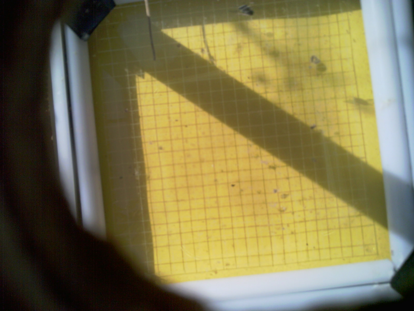 20260710_100349_UXGA_Q3.jpg