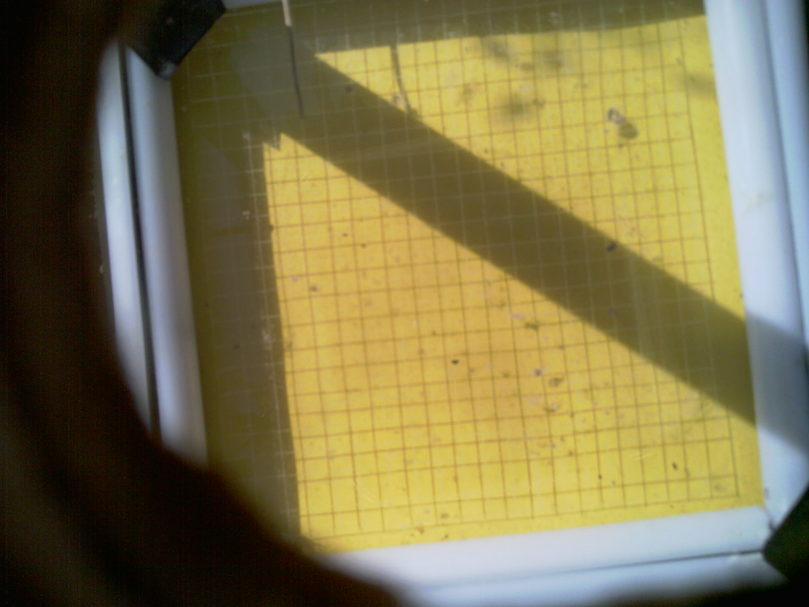 20260710_101025_UXGA_Q3.jpg