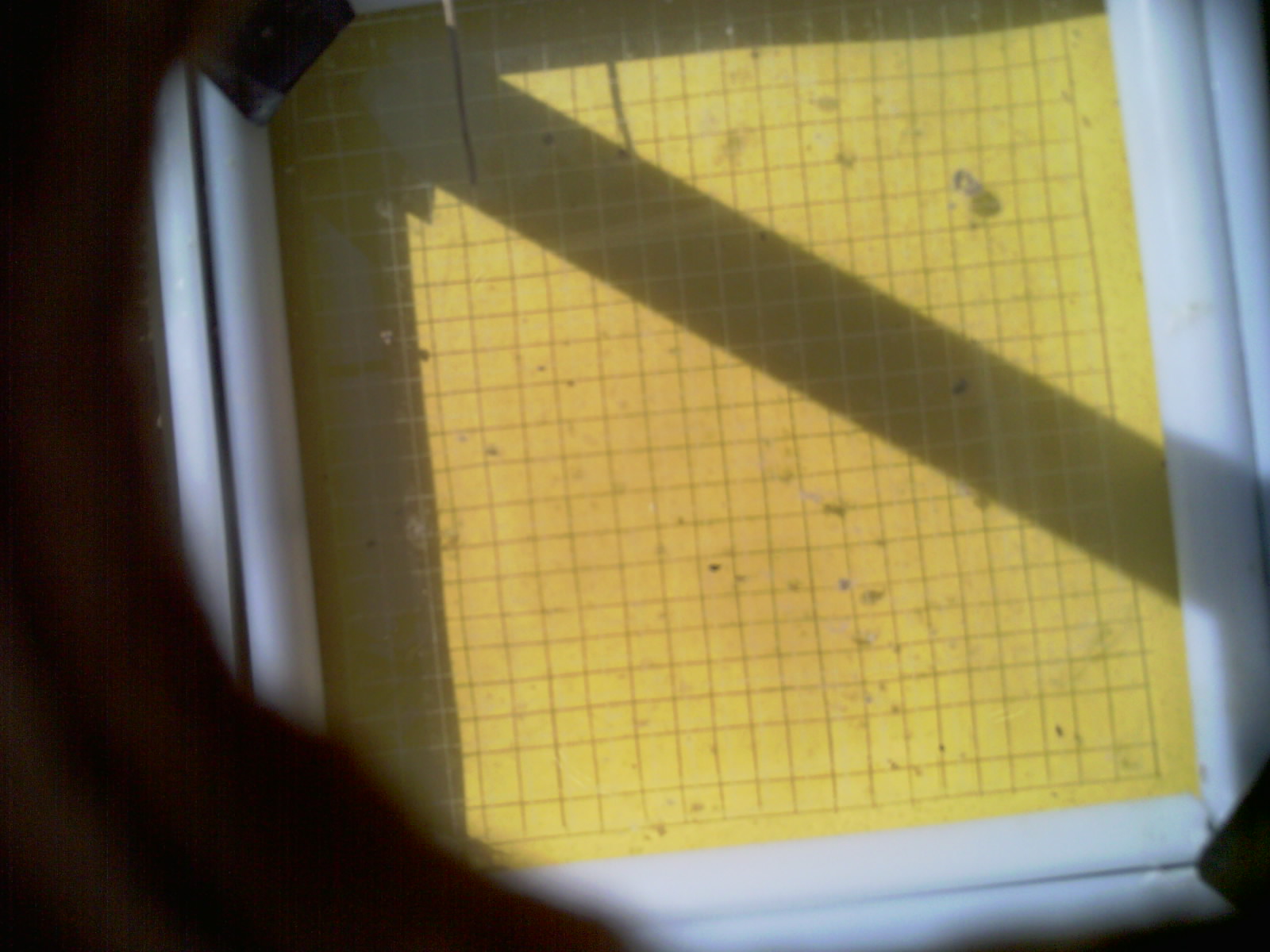 20260710_102242_UXGA_Q3.jpg