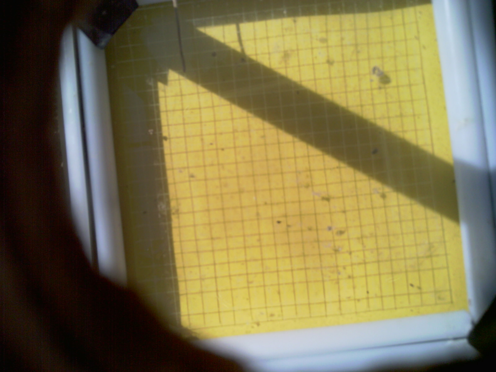 20260710_102846_UXGA_Q3.jpg
