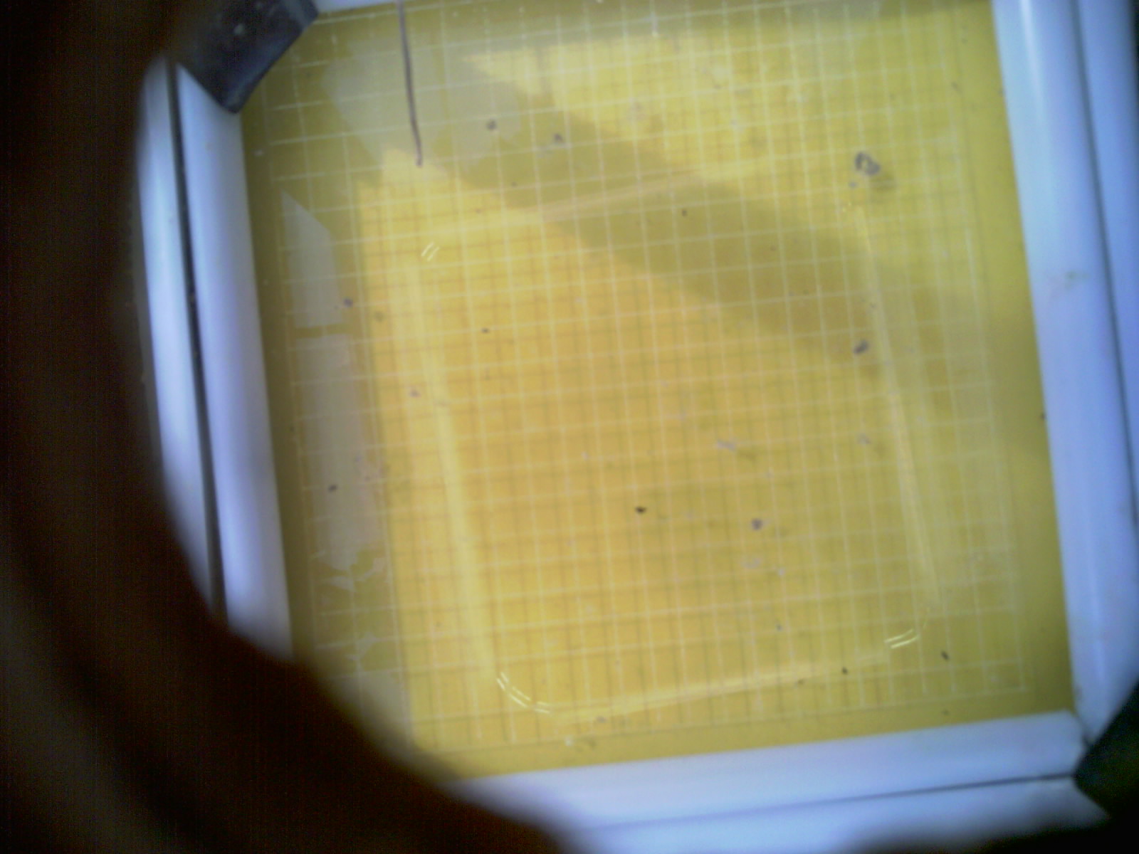 20260710_104103_UXGA_Q3.jpg
