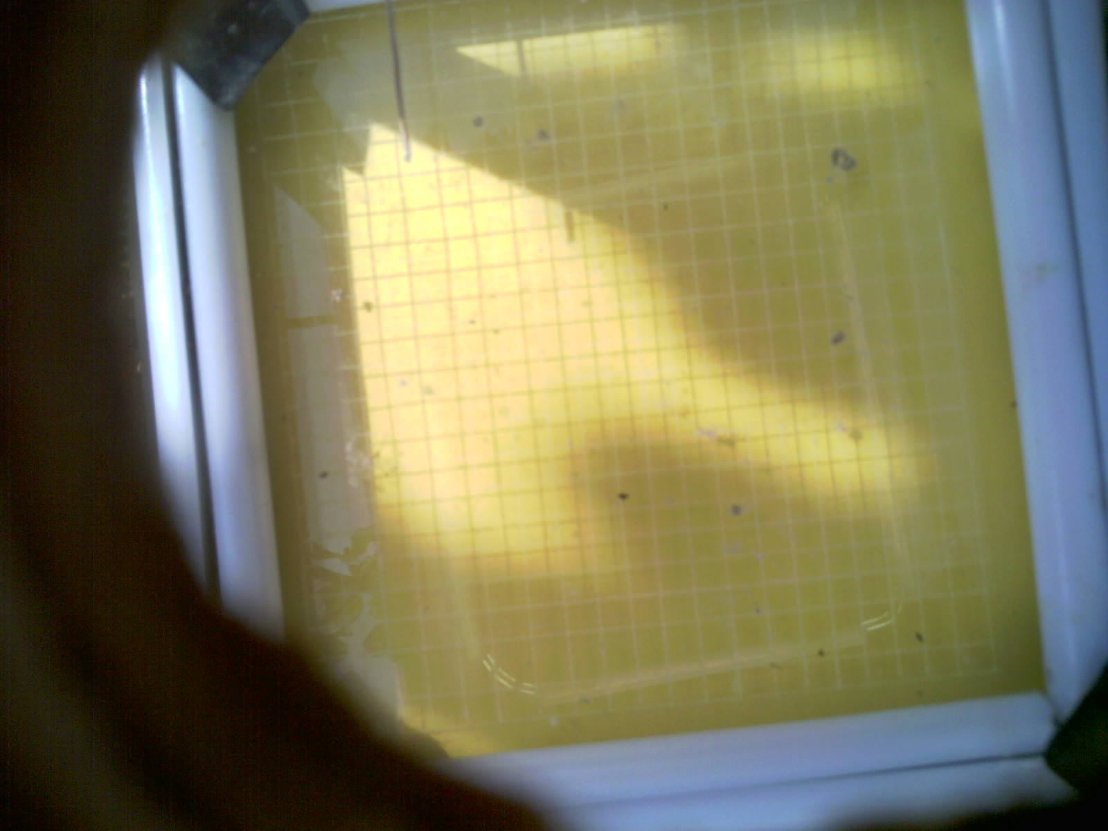 20260710_105404_UXGA_Q3.jpg