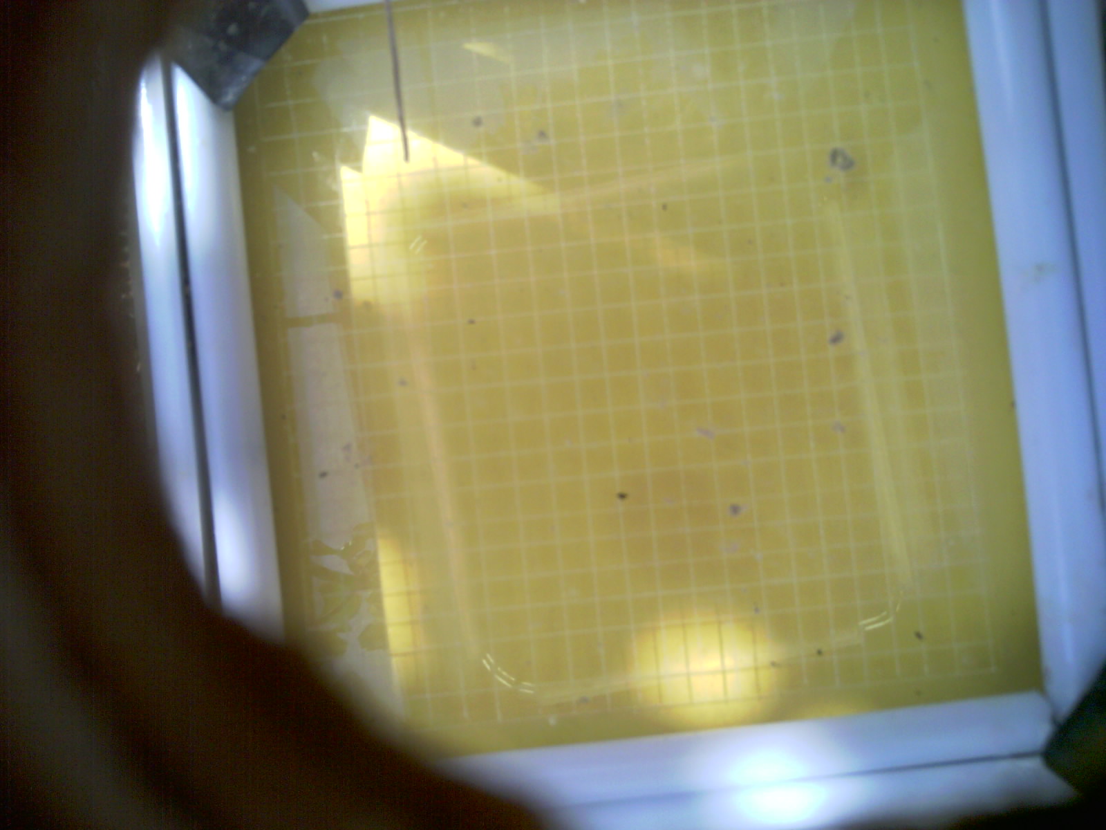20260710_110133_UXGA_Q3.jpg