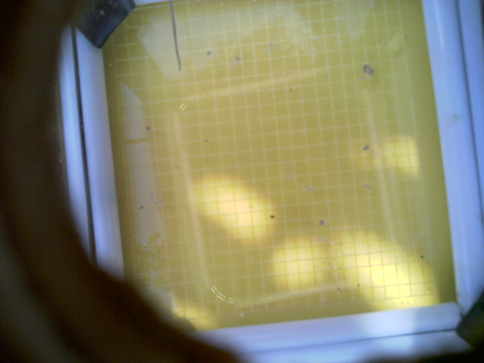 20260710_110743_UXGA_Q3.jpg