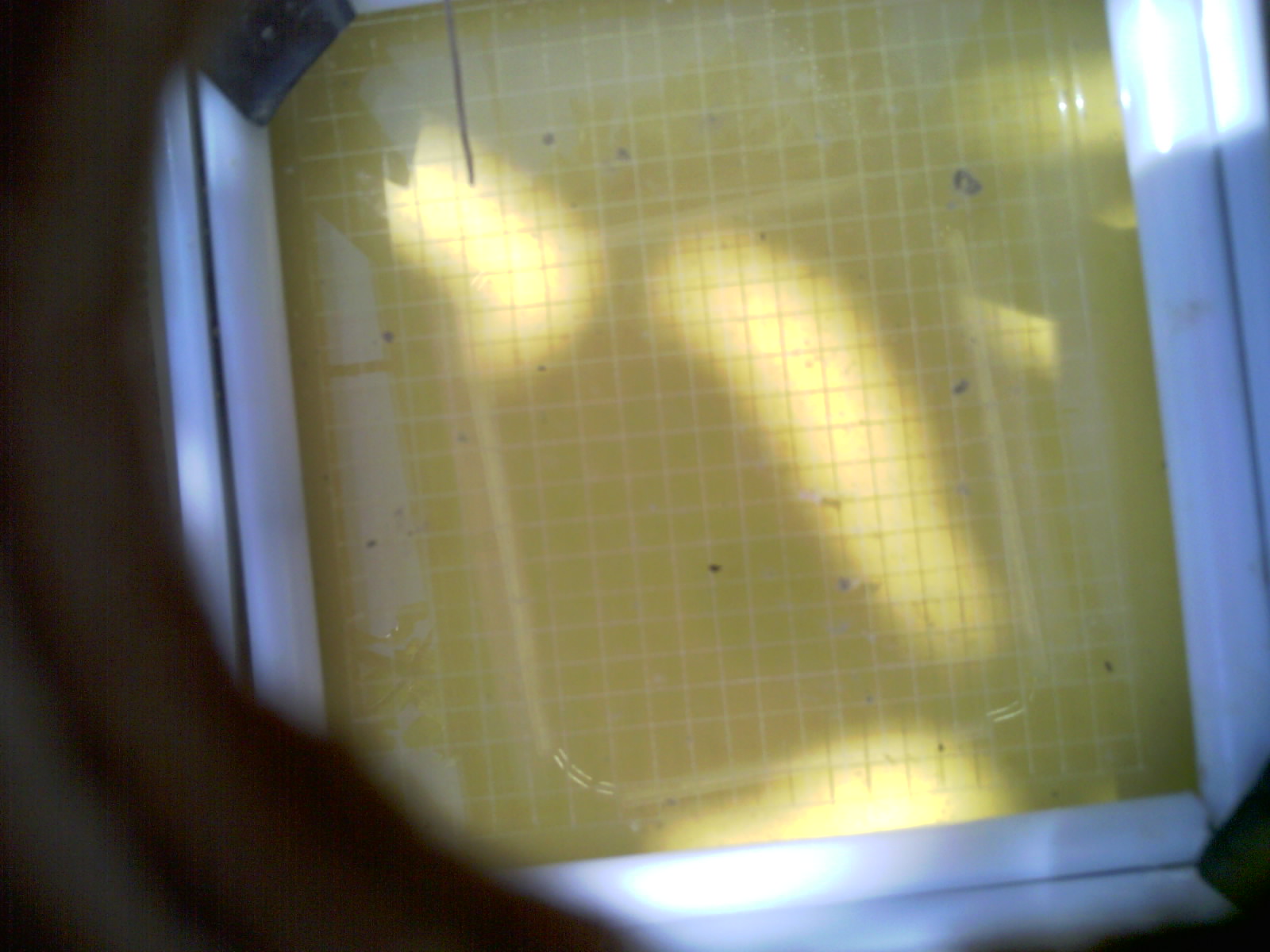 20260710_111415_UXGA_Q3.jpg