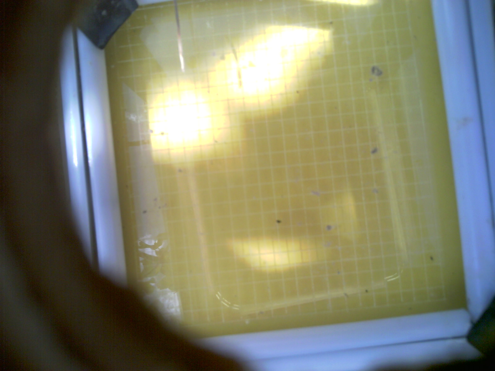 20260710_120346_UXGA_Q3.jpg
