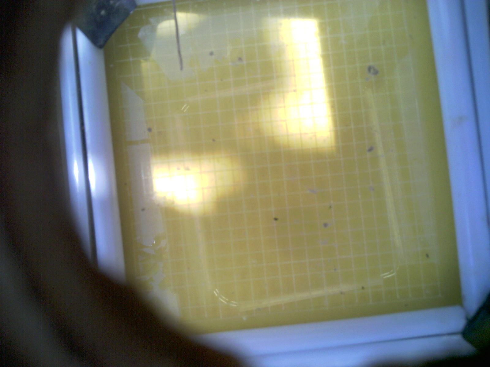 20260710_120954_UXGA_Q3.jpg