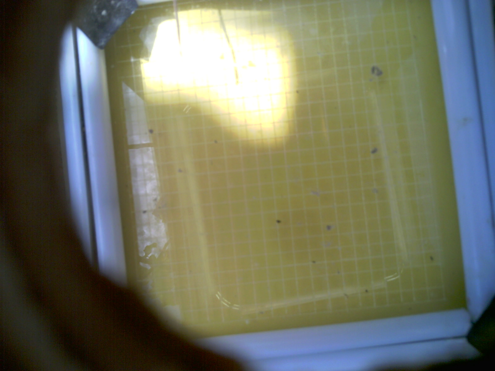 20260710_121553_UXGA_Q3.jpg