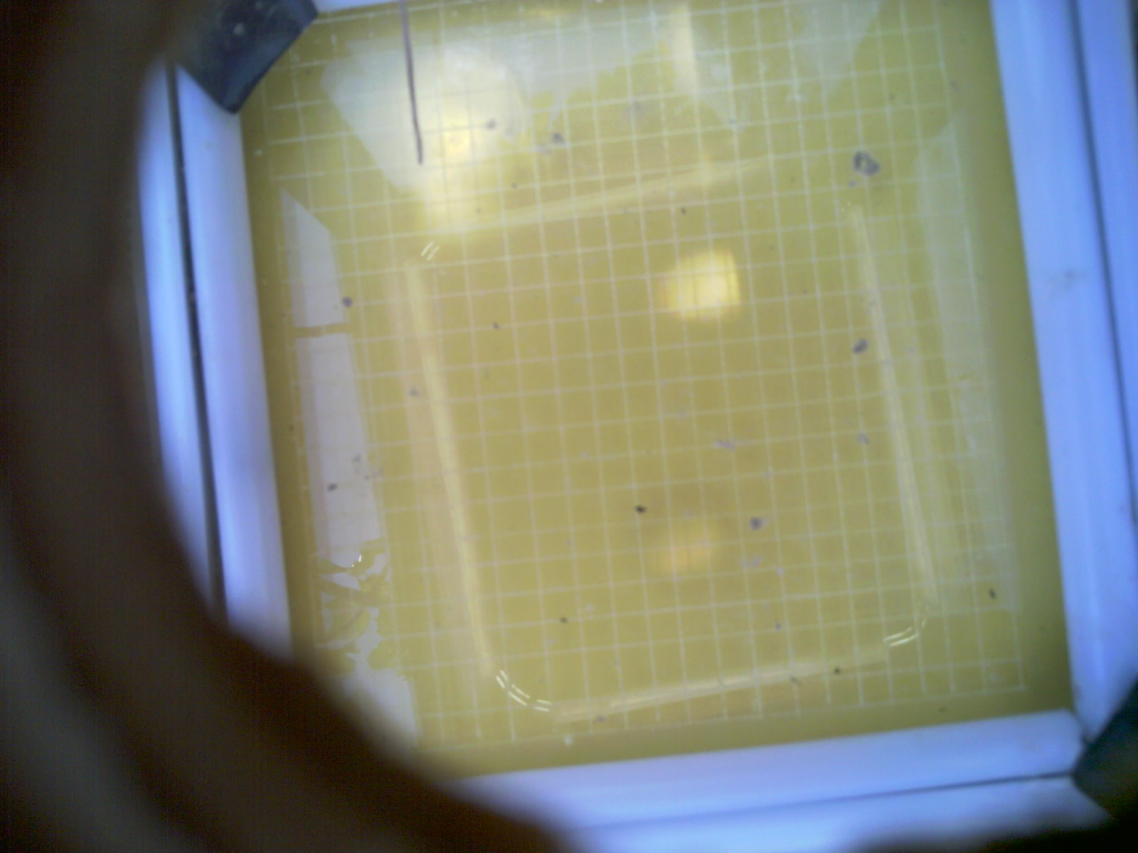 20260710_122225_UXGA_Q3.jpg