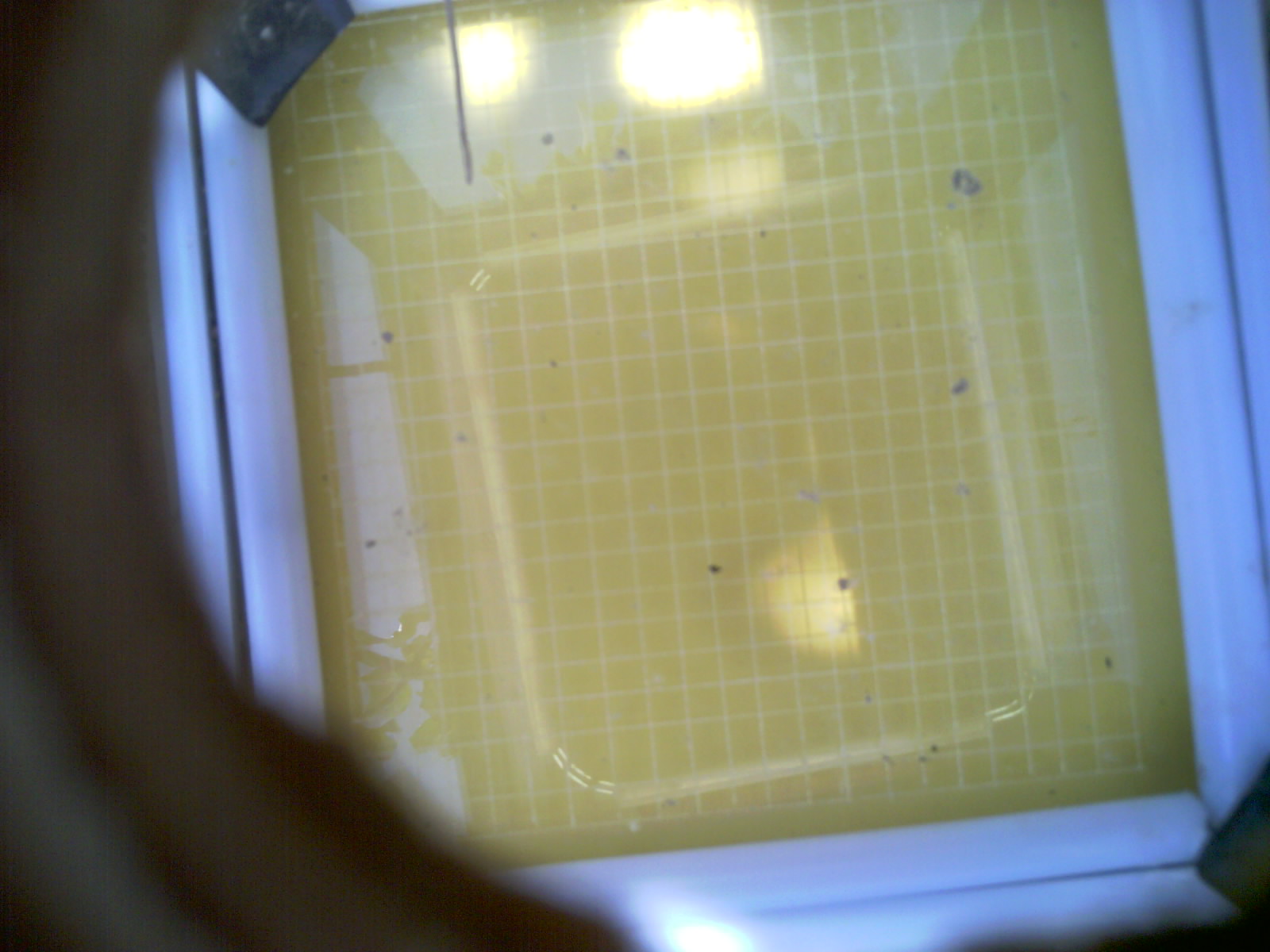 20260710_122826_UXGA_Q3.jpg