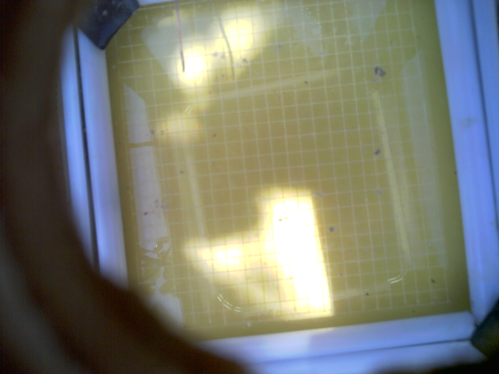 20260710_124044_UXGA_Q3.jpg