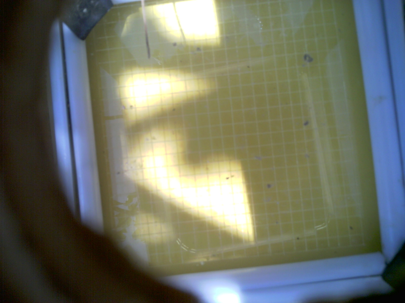 20260710_125337_UXGA_Q3.jpg