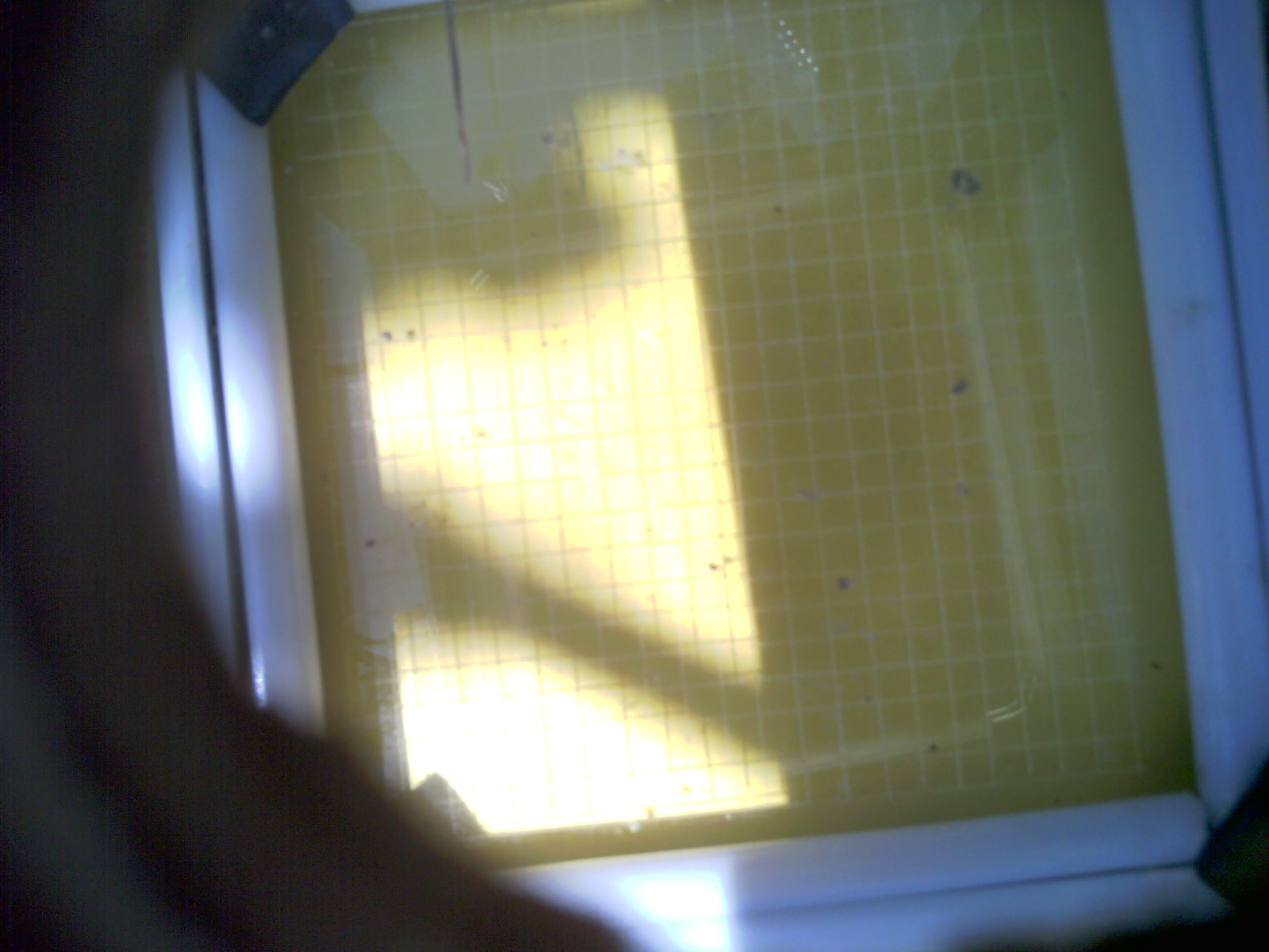 20260710_125952_UXGA_Q3.jpg