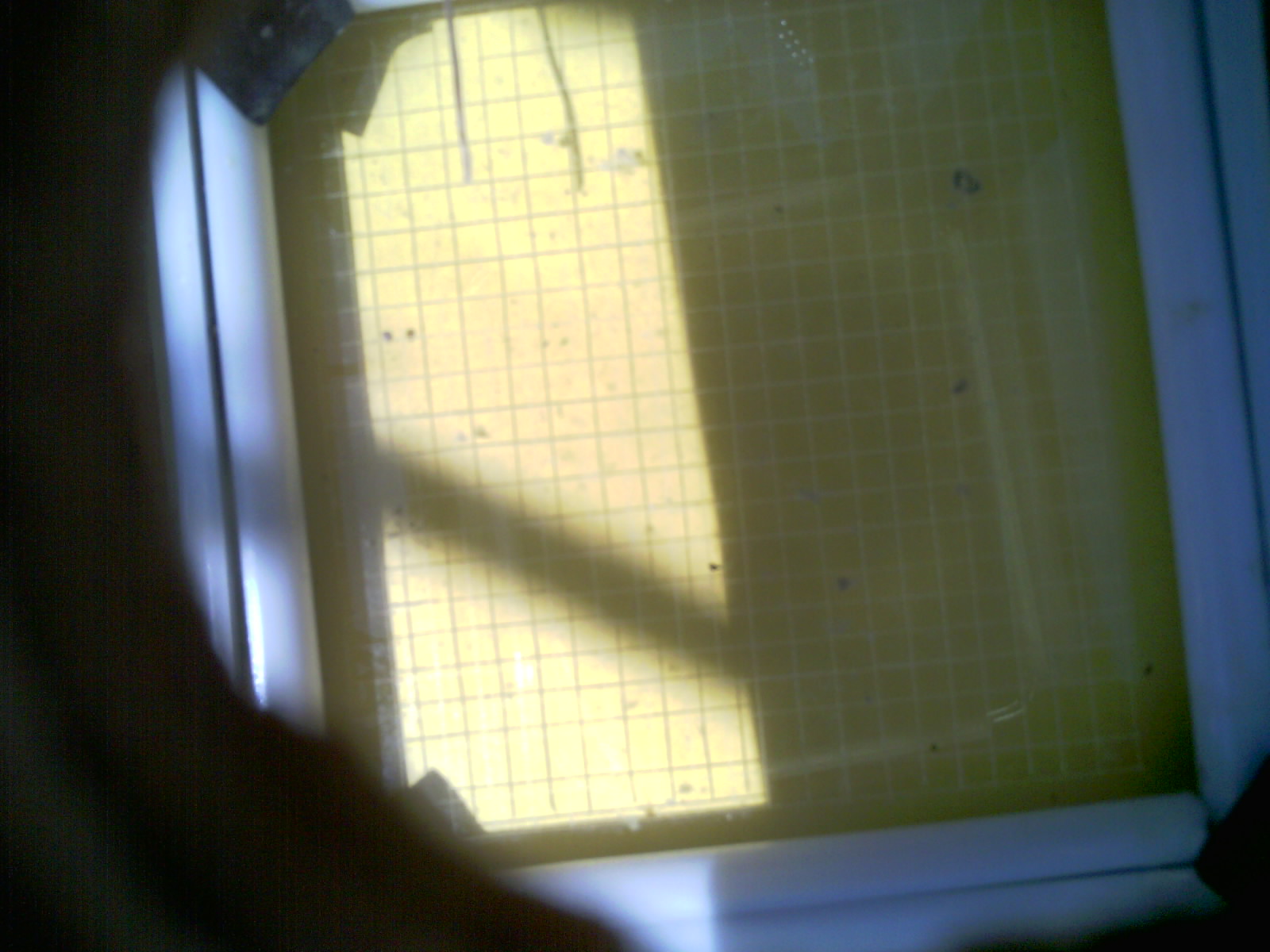 20260710_130624_UXGA_Q3.jpg