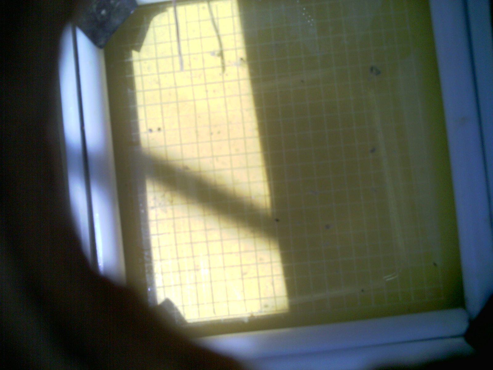 20260710_131300_UXGA_Q3.jpg