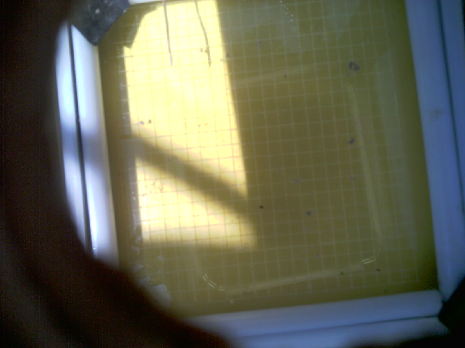 20260710_131931_UXGA_Q3.jpg