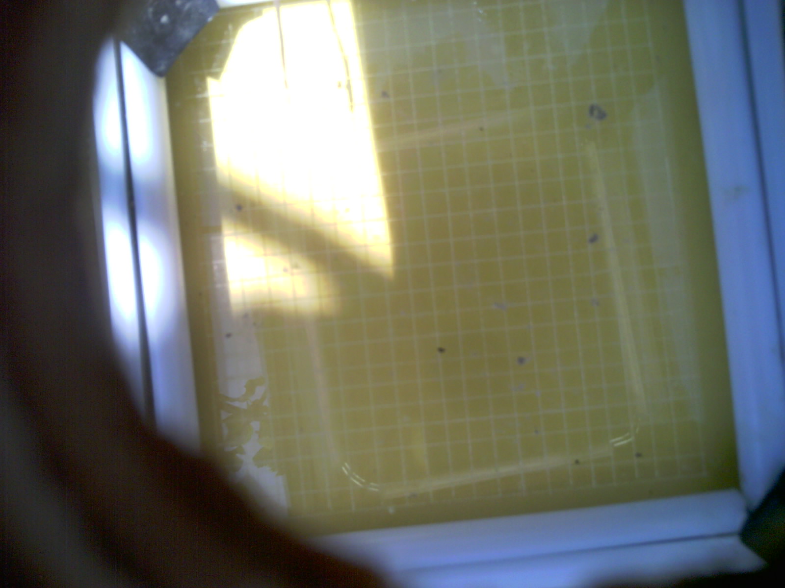 20260710_132600_UXGA_Q3.jpg
