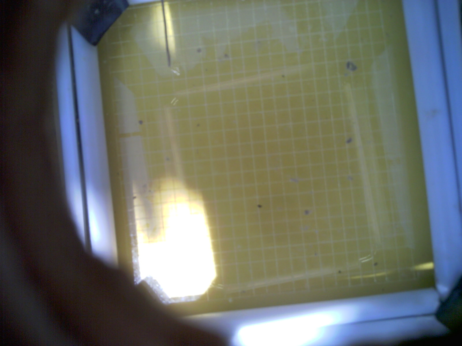 20260710_135840_UXGA_Q3.jpg